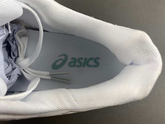 As1cs sneaker 1051a080-100