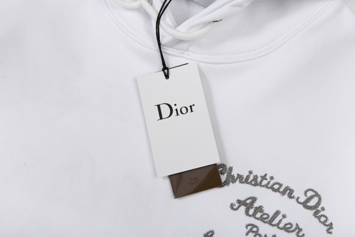 D1OR HOODIE DR48