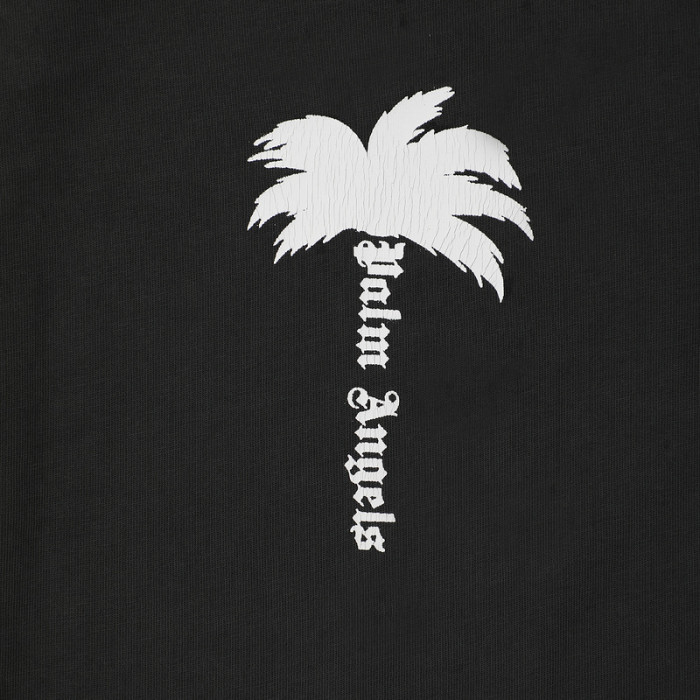 Palm Ange*10
