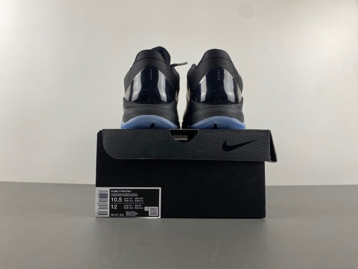 Nike Kobe 5 Protro Year of the Mamba Eggplant IB4481-500