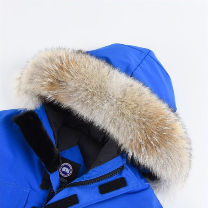 Canada G00SE JACKET CG31